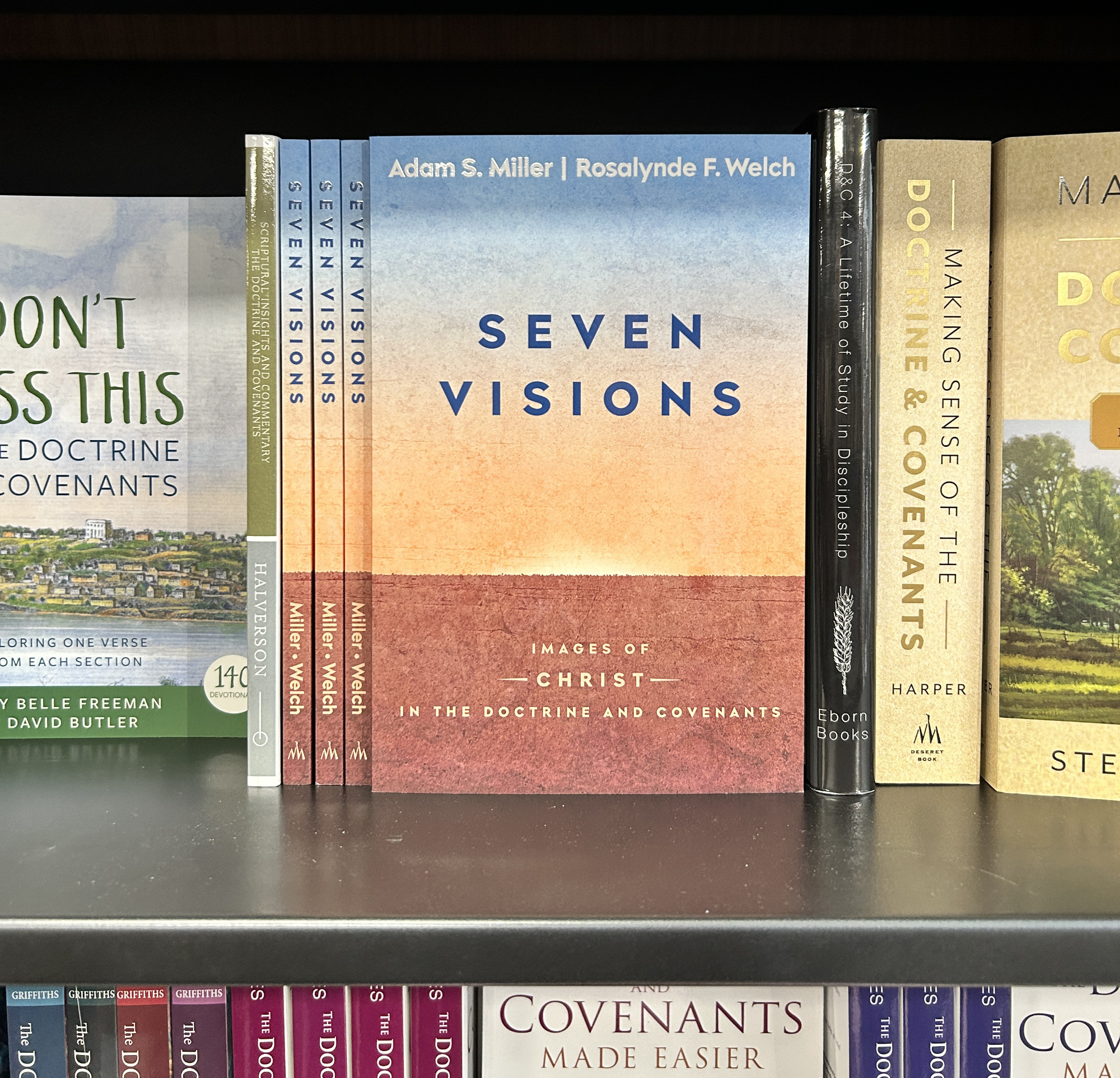 Photo of Seven Visions book on shelf